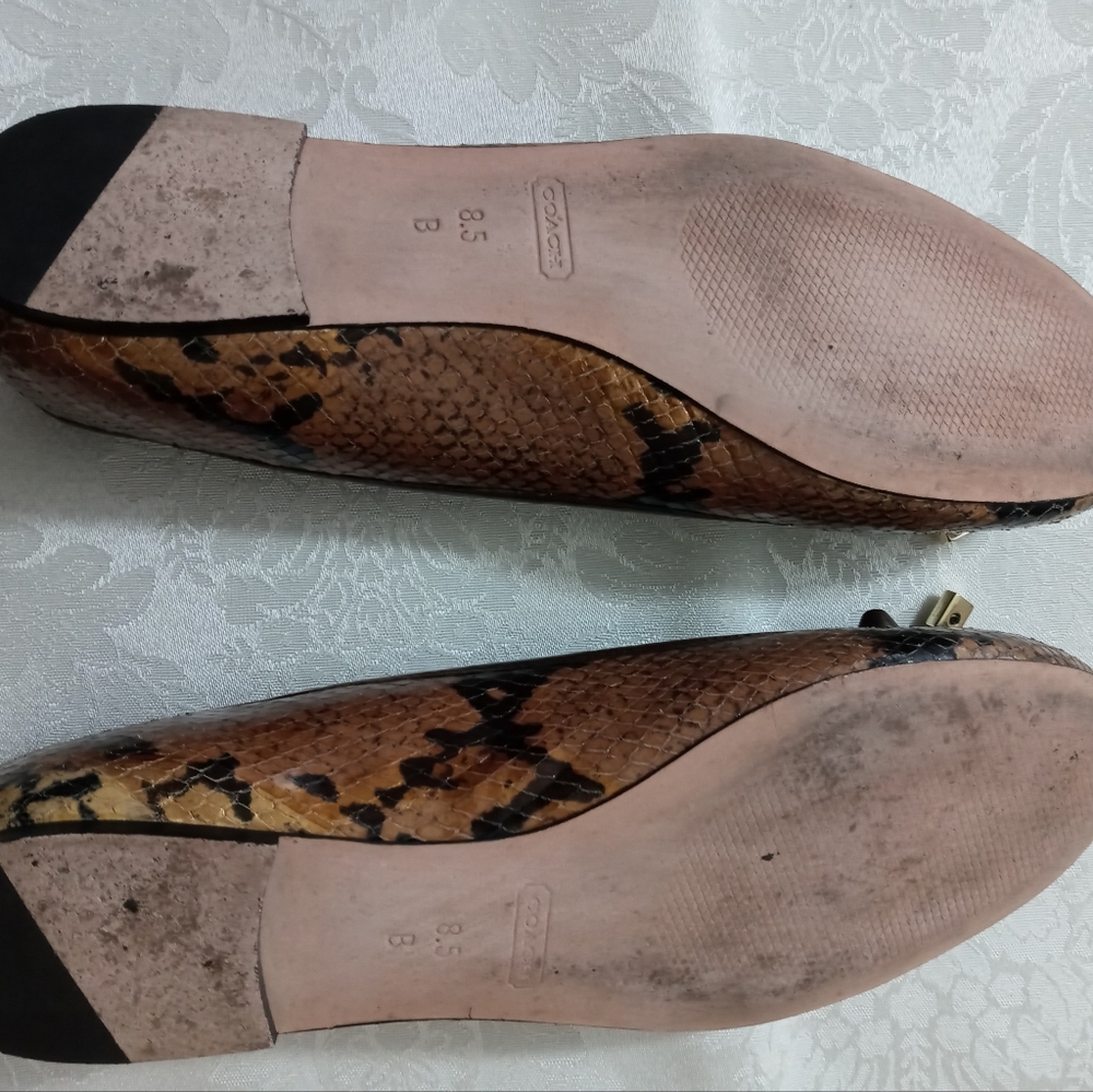 Coach Brown Python Snake Print Flat Ballet Shoes … - image 7